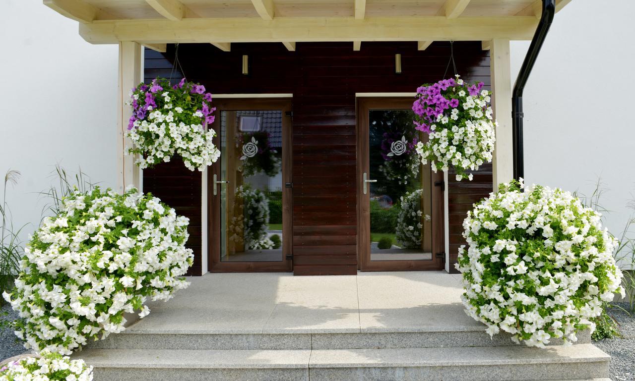 Apartamenty U Harrego II Przy Stawie Spa Klimatyzacja,Balkon,Sauna , Balia, Ogrod,Parking Kudowa-Zdroj Dış mekan fotoğraf